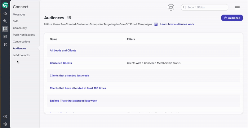 custom_audience_gif (1).gif