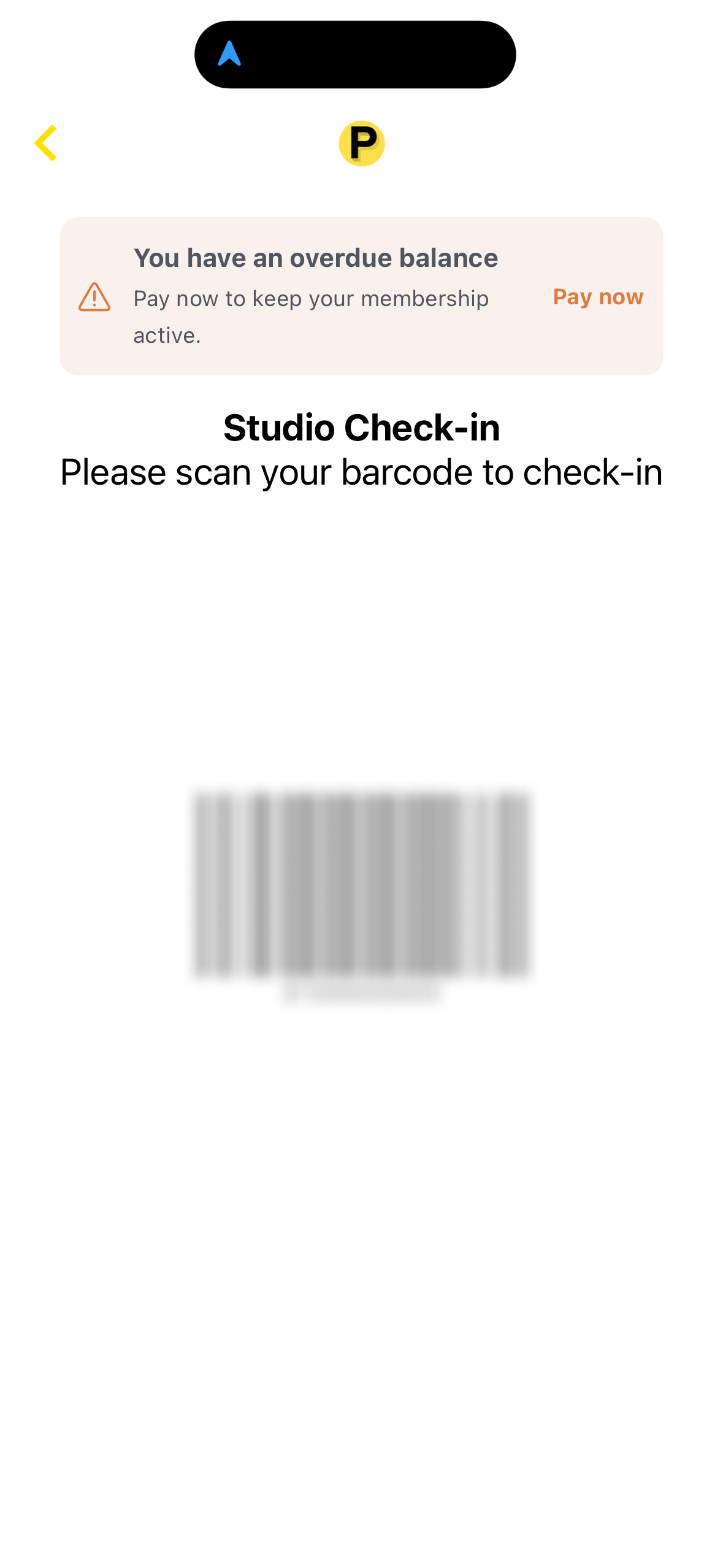 IMG_9790.PNG